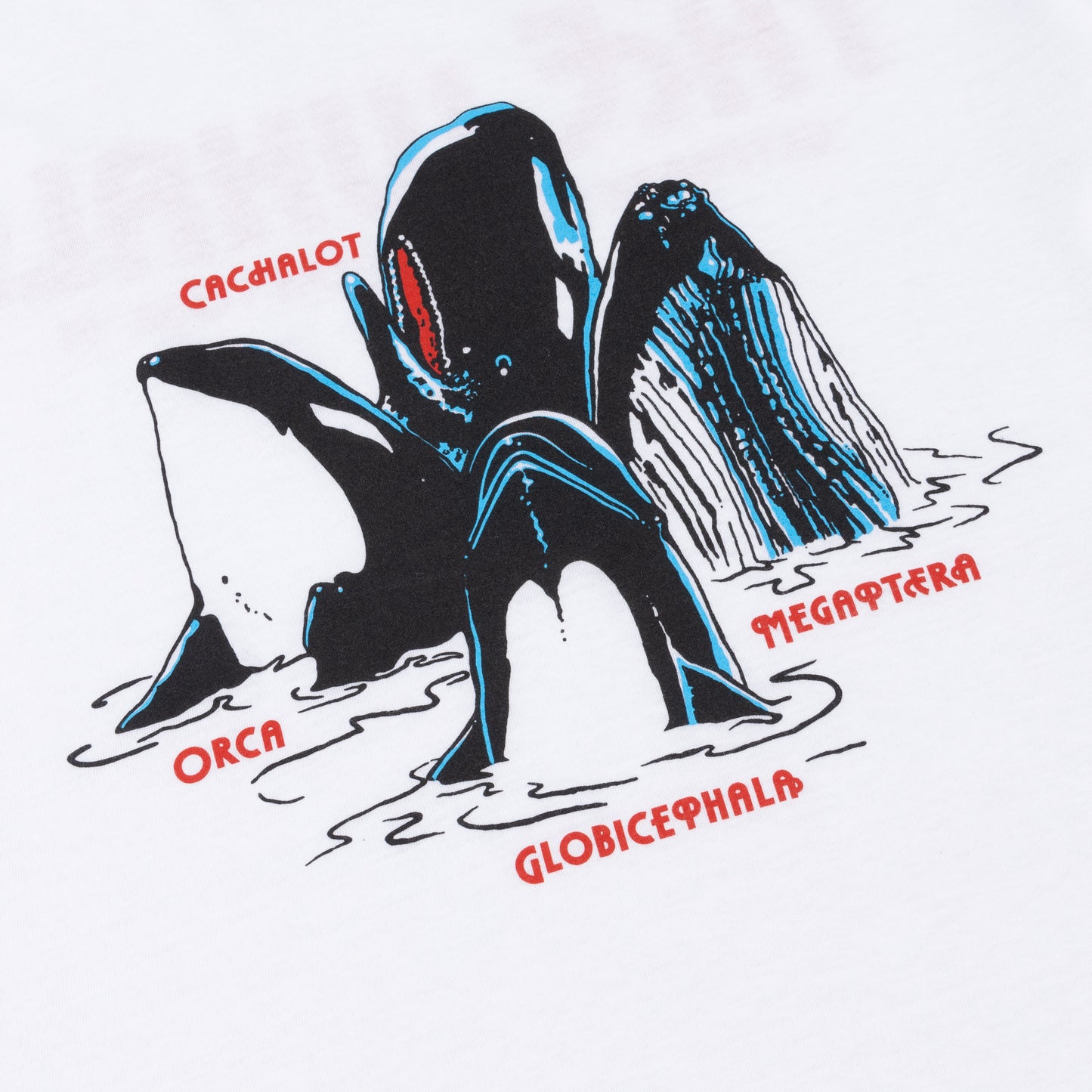 SONG OF THE WHALE T-SHIRT